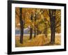 Maple Trees, Avenue, Autumn-Thonig-Framed Photographic Print