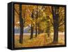 Maple Trees, Avenue, Autumn-Thonig-Framed Stretched Canvas