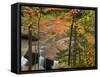 Maple Trees frame O Kun De Kun Falls on the Baltimore River, Ottawa National Forest, Michigan, USA-Chuck Haney-Framed Stretched Canvas