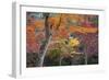 Maple Trees in Autumn, Momijidani Park (Japanese Maple Park), Miyajima Island-Stuart Black-Framed Photographic Print