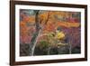 Maple Trees in Autumn, Momijidani Park (Japanese Maple Park), Miyajima Island-Stuart Black-Framed Photographic Print