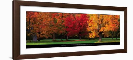 Maple Trees in Autumn, White Mountains, New Hampshire-Tom Mackie-Framed Art Print