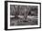 Maple Trees In Pigeon Forge River BW-Steve Gadomski-Framed Photographic Print