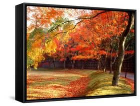 Maple Trees Near Villa Katsura-null-Framed Stretched Canvas