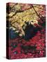 Maple Trees, Portland Japanese Garden, Oregon, USA-William Sutton-Stretched Canvas