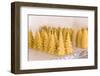 Maple Valley, Washington State. Handmade tree-shaped and pinecone-shaped beeswax candles for sale.-Janet Horton-Framed Photographic Print