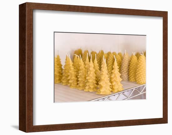 Maple Valley, Washington State. Handmade tree-shaped and pinecone-shaped beeswax candles for sale.-Janet Horton-Framed Photographic Print