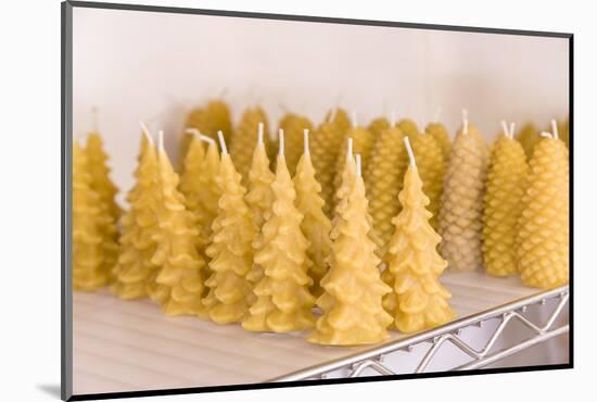 Maple Valley, Washington State. Handmade tree-shaped and pinecone-shaped beeswax candles for sale.-Janet Horton-Mounted Photographic Print