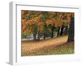 Maples and Bench in Autumn at Greenlake, Seattle, Washington, USA-Jamie & Judy Wild-Framed Premium Photographic Print