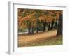 Maples and Bench in Autumn at Greenlake, Seattle, Washington, USA-Jamie & Judy Wild-Framed Photographic Print