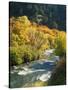 Maples and Birches Along Blacksmith Fork River, Wasatch-Cache National Forest, Utah, USA-Scott T. Smith-Stretched Canvas