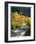 Maples and Birches Along Blacksmith Fork River, Wasatch-Cache National Forest, Utah, USA-Scott T. Smith-Framed Photographic Print