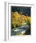 Maples and Birches Along Blacksmith Fork River, Wasatch-Cache National Forest, Utah, USA-Scott T. Smith-Framed Photographic Print