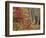 Maples and Birches in Autumn-James Randklev-Framed Photographic Print