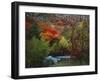 Maples and Willows in Autumn, Blacksmith Fork Canyon, Bear River Range, National Forest, Utah-Scott T^ Smith-Framed Photographic Print