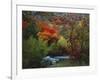 Maples and Willows in Autumn, Blacksmith Fork Canyon, Bear River Range, National Forest, Utah-Scott T^ Smith-Framed Photographic Print