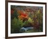 Maples and Willows in Autumn, Blacksmith Fork Canyon, Bear River Range, National Forest, Utah-Scott T^ Smith-Framed Photographic Print