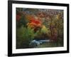 Maples and Willows in Autumn, Blacksmith Fork Canyon, Bear River Range, National Forest, Utah-Scott T^ Smith-Framed Photographic Print