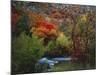 Maples and Willows in Autumn, Blacksmith Fork Canyon, Bear River Range, National Forest, Utah-Scott T^ Smith-Mounted Photographic Print