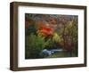 Maples and Willows in Autumn, Blacksmith Fork Canyon, Bear River Range, National Forest, Utah-Scott T^ Smith-Framed Photographic Print