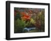 Maples and Willows in Autumn, Blacksmith Fork Canyon, Bear River Range, National Forest, Utah-Scott T^ Smith-Framed Photographic Print