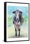 Mapleview Cow-Beverly Dyer-Framed Stretched Canvas