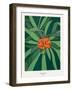 MApnjelilja-Annika John-Framed Giclee Print