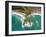 Mapoutahi, Historic Maori Pa Site, North of Dunedin, South Island, New Zealand-David Wall-Framed Photographic Print