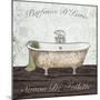 Mapped Bath-Victoria Brown-Mounted Art Print