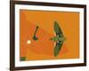 Mapped Out Flight-Belen Mena-Framed Giclee Print