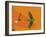 Mapped Out Flight-Belen Mena-Framed Giclee Print