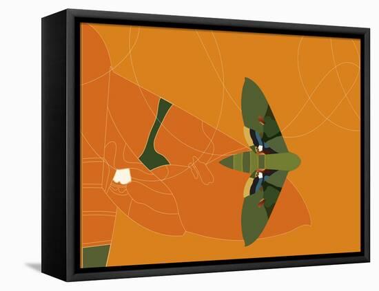 Mapped Out Flight-Belen Mena-Framed Stretched Canvas
