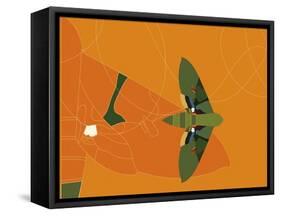Mapped Out Flight-Belen Mena-Framed Stretched Canvas