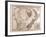 Maps of Western Australia, Tasmania and New Zealand, 1872-null-Framed Giclee Print