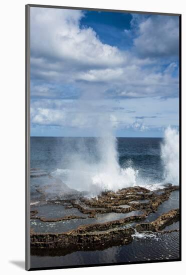 Mapu'A 'A Vaea Blowholes, Tongatapu, Tonga, South Pacific, Pacific-Michael Runkel-Mounted Photographic Print