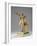 Maquette for the Statue of William Ewart Gladstone on the Strand, London, C.1905-William Hamo Thornycroft-Framed Giclee Print