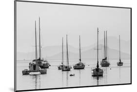 Mar Menor, Region of Murcia, Spain-Michael Snell-Mounted Photographic Print