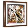 Brown Frame