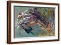 Brown Frame
