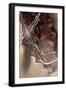 Black Frame