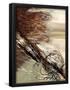 Essential Black