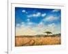 Mara Landscape, 2012-Tilly Willis-Framed Giclee Print