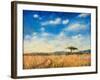 Mara Landscape, 2012-Tilly Willis-Framed Giclee Print