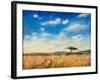 Mara Landscape, 2012-Tilly Willis-Framed Giclee Print