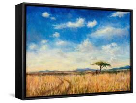 Mara Landscape, 2012-Tilly Willis-Framed Stretched Canvas