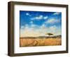 Mara Landscape, 2012-Tilly Willis-Framed Giclee Print