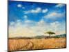 Mara Landscape, 2012-Tilly Willis-Mounted Giclee Print