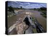 Mara River, Masai Mara National Park, Kenya-Art Wolfe-Stretched Canvas