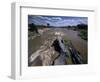 Mara River, Masai Mara National Park, Kenya-Art Wolfe-Framed Photographic Print