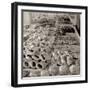 Mara’s Caffe #3-Alan Blaustein-Framed Photographic Print